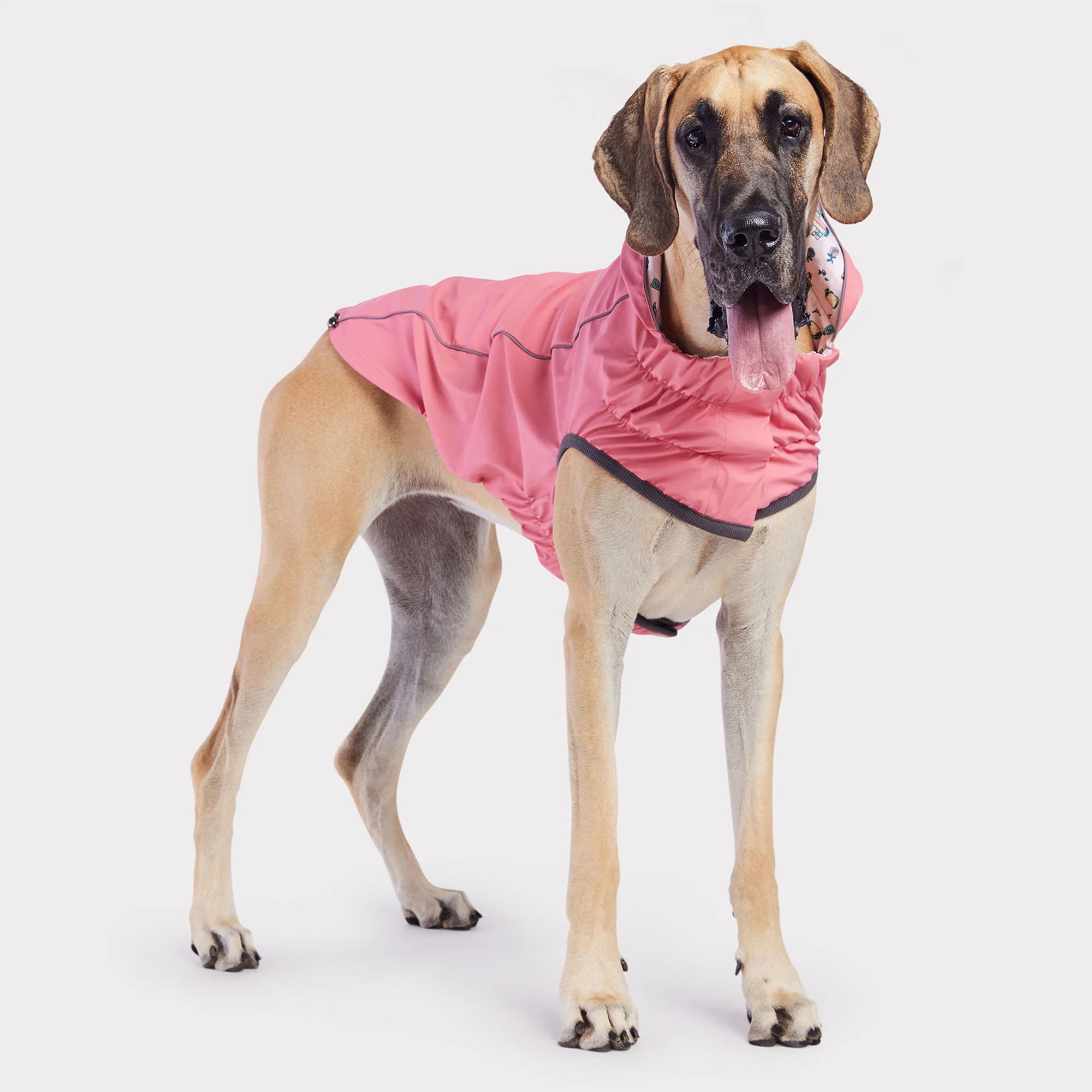 Dog Rain Coat - Reversible Pink Fiesta
