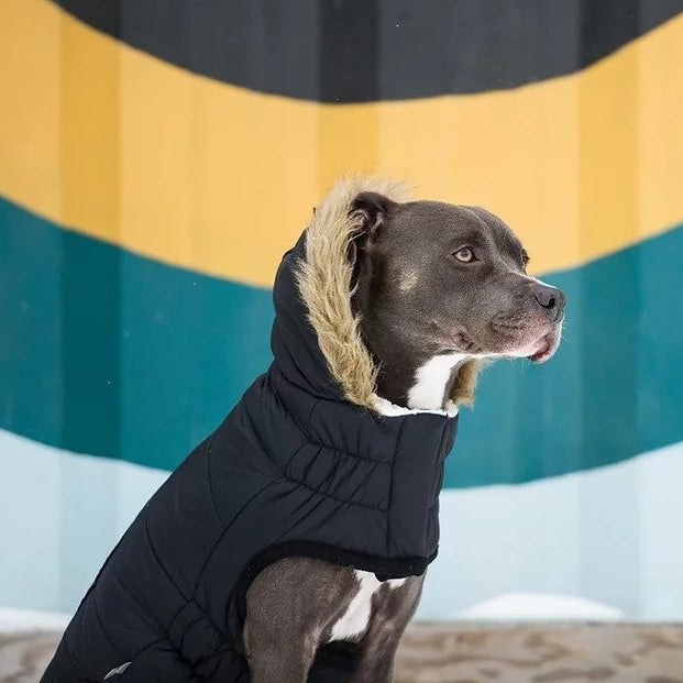 Black Parka Dog Coat