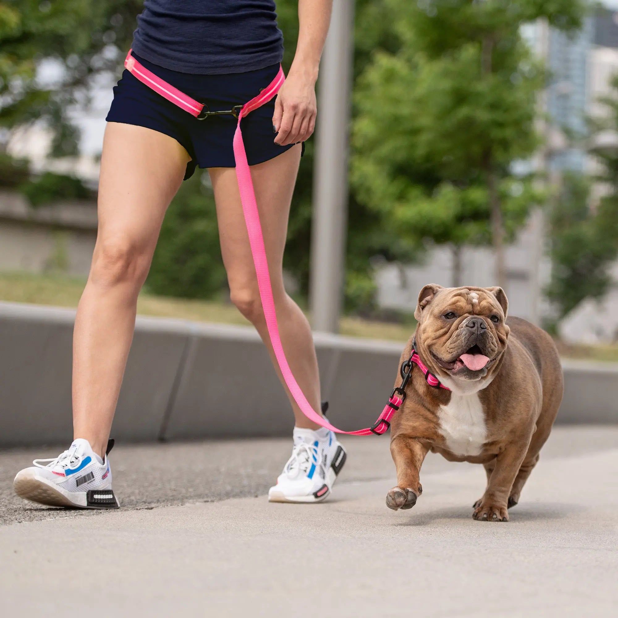 pink reflective dog leash