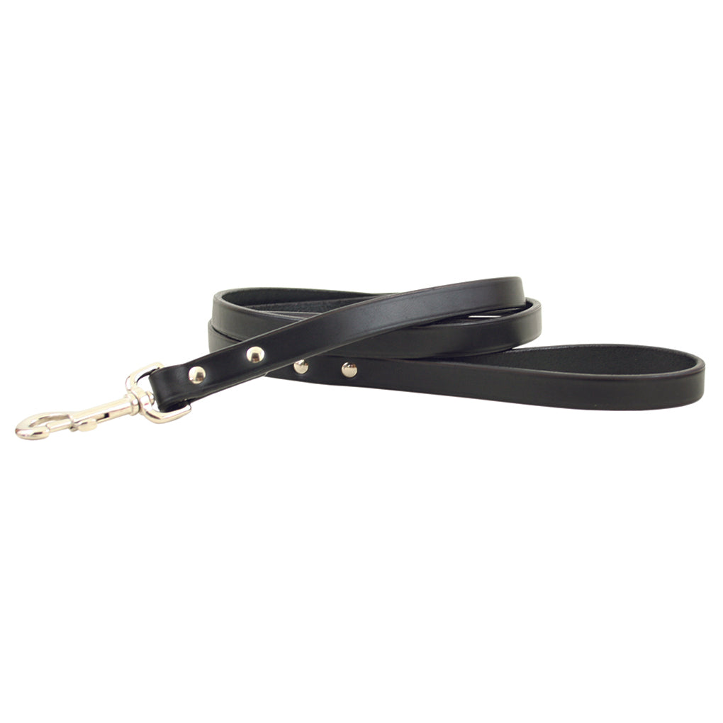 black leather dog leash