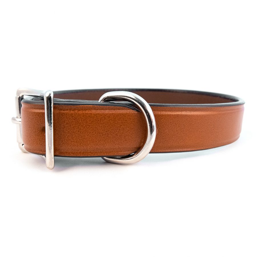 tan leather dog collar