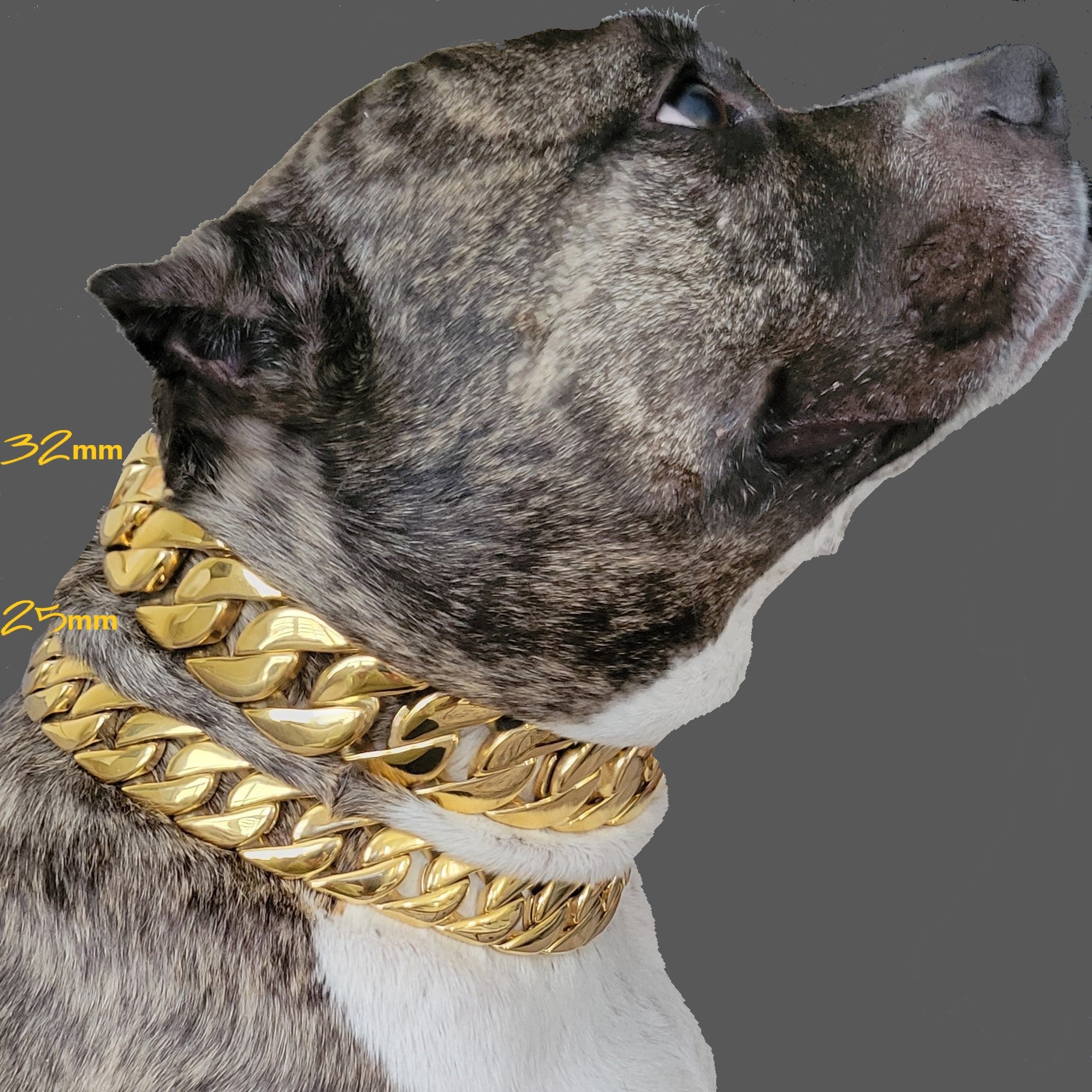 Gold Chain Dog Collar 16mm 18K Gold Cuban Link Dog Collar with Secure Snap Buckle Gold Dog Chain Metal Collar for Small Pitbull (16mm, 22)