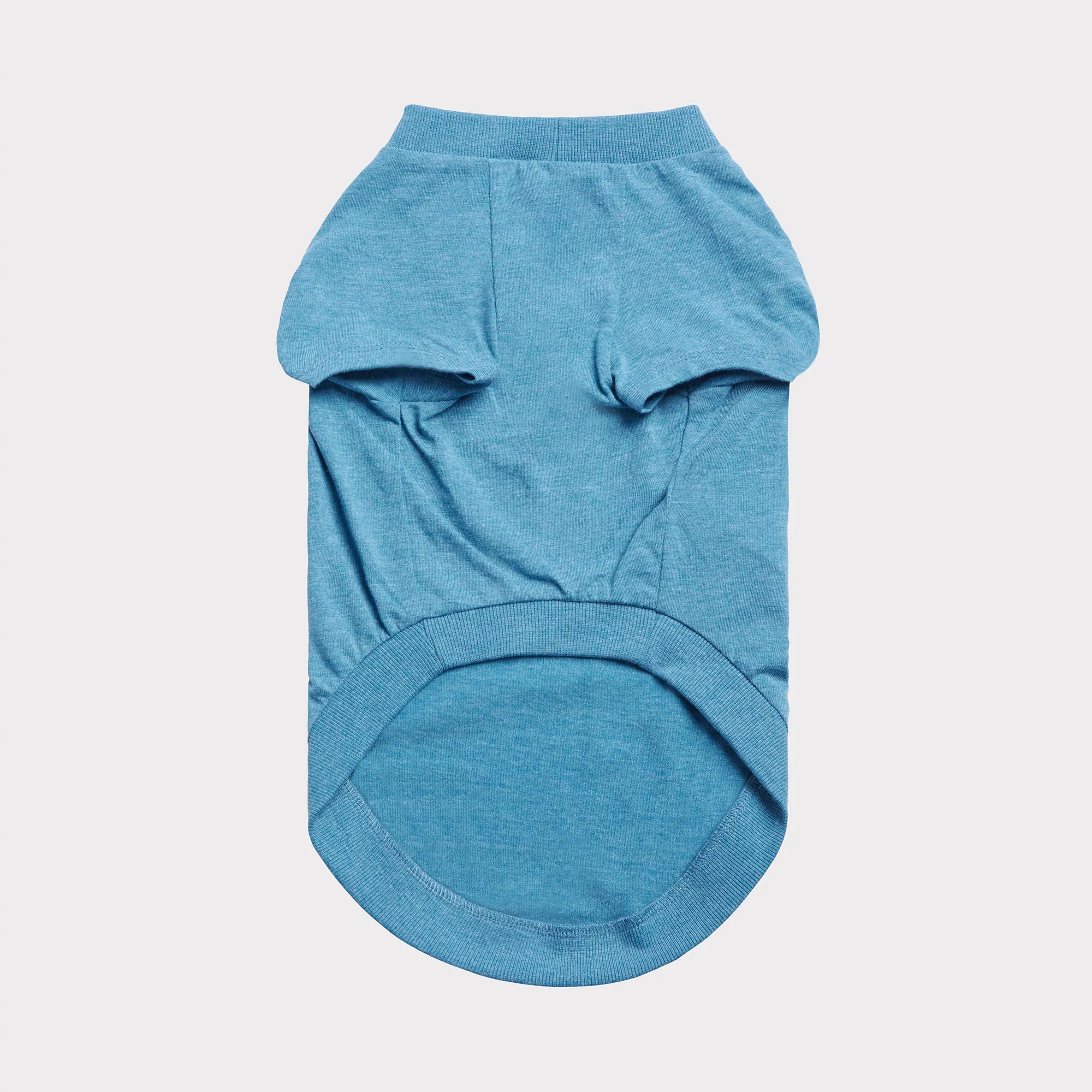 Vintage Graphic Tee Dog T-Shirt - Blue