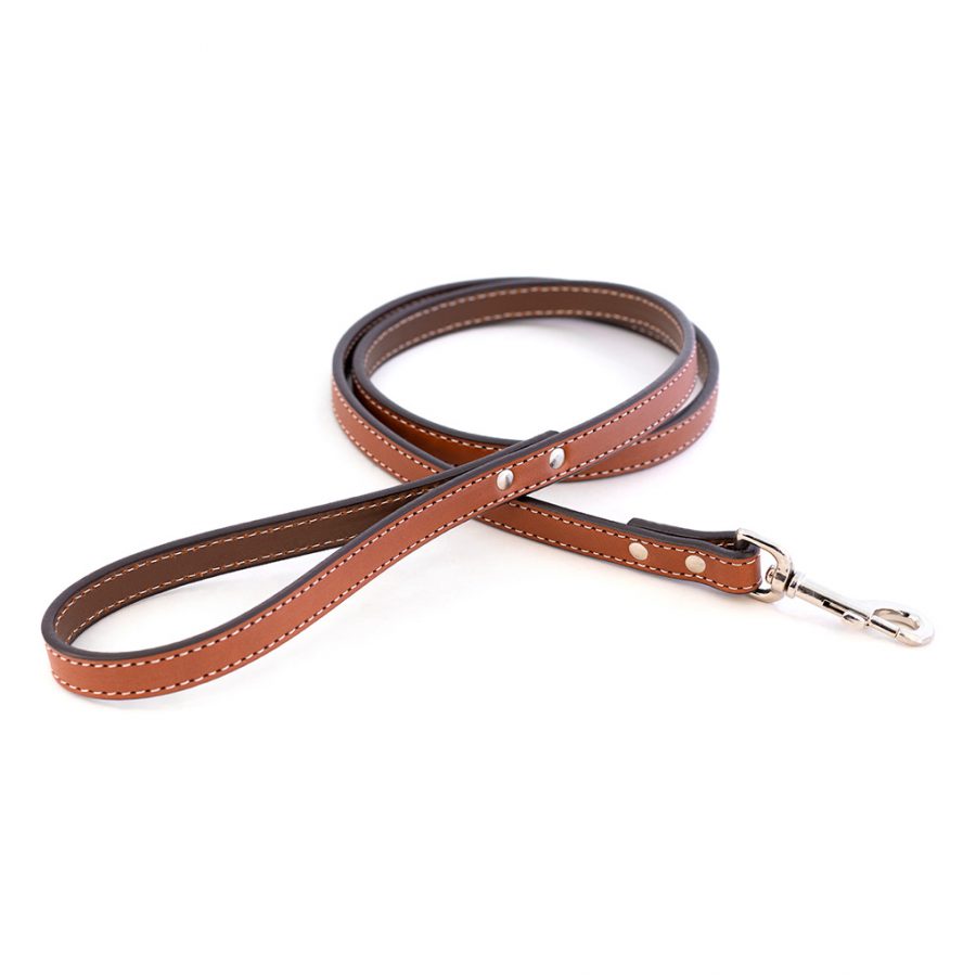 Dover Court Leather Dog Leash