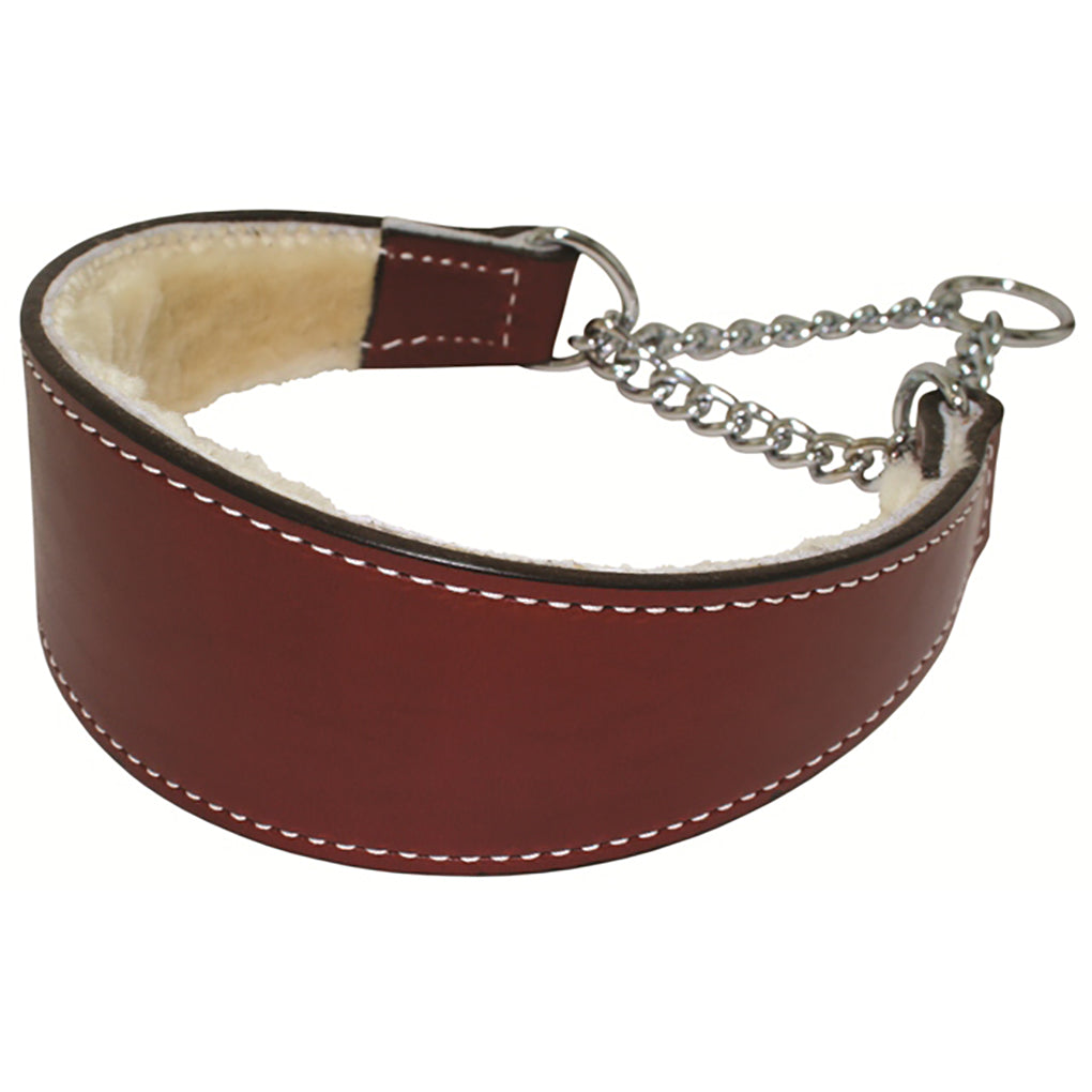 martingale dog collar with chain