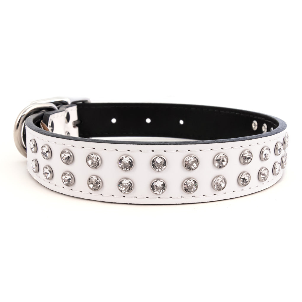 sparkly dog collar