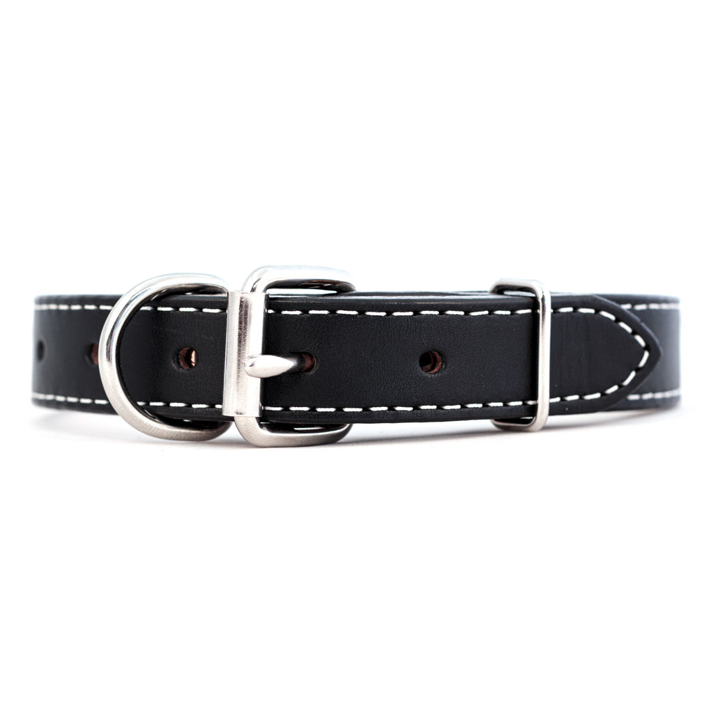 large leather dog collar