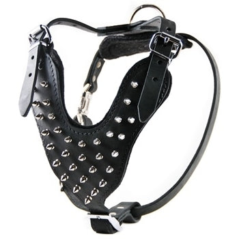 Spiked leather dog harness
