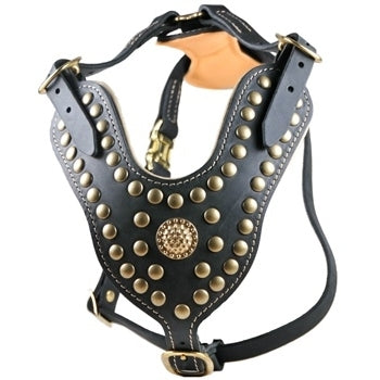 studded leather dog harness