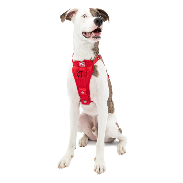 Enhanced Strength Kurgo Trufit Dog Harness