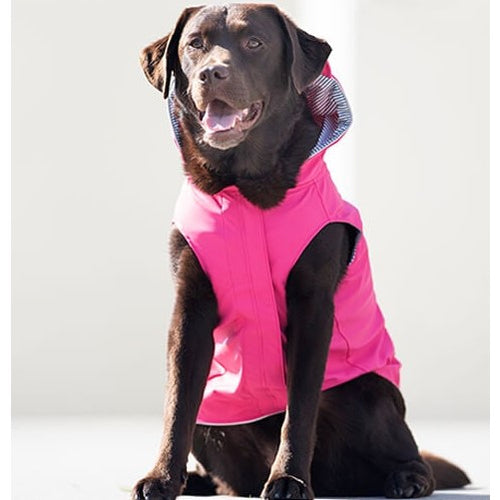 Big Dog Clothes Exclusively big dog clothing Pit Bull Outfitters