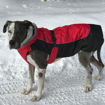 Alpine All-Weather Dog Coat in Red and Black