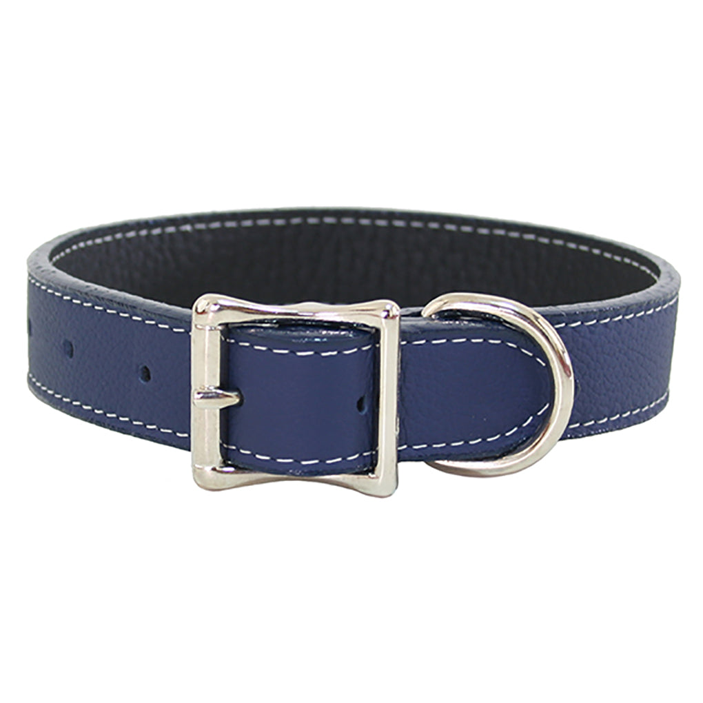 blue leather dog collar