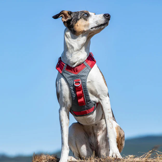 Journey Air Kurgo Dog Harness