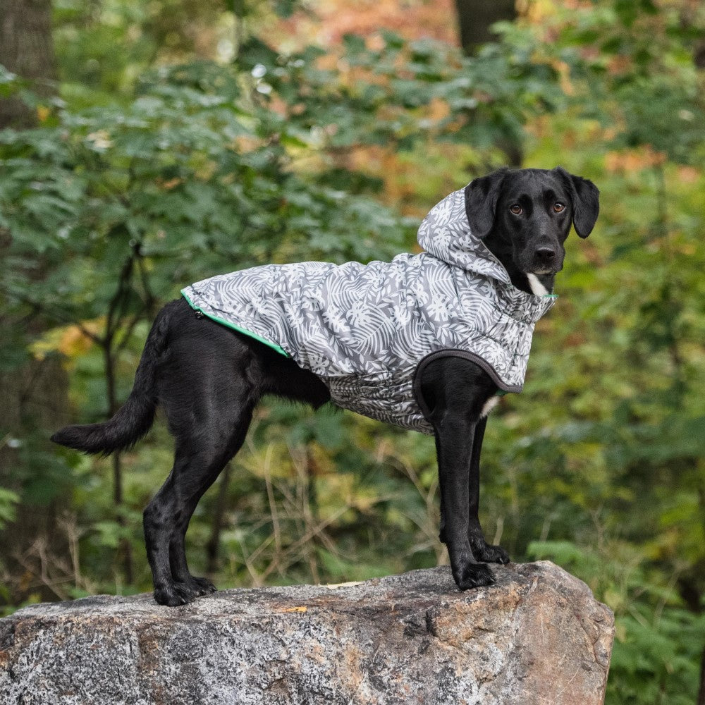 reversible green dog rain coat