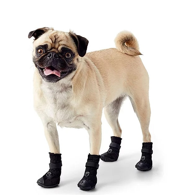 Dog Boots