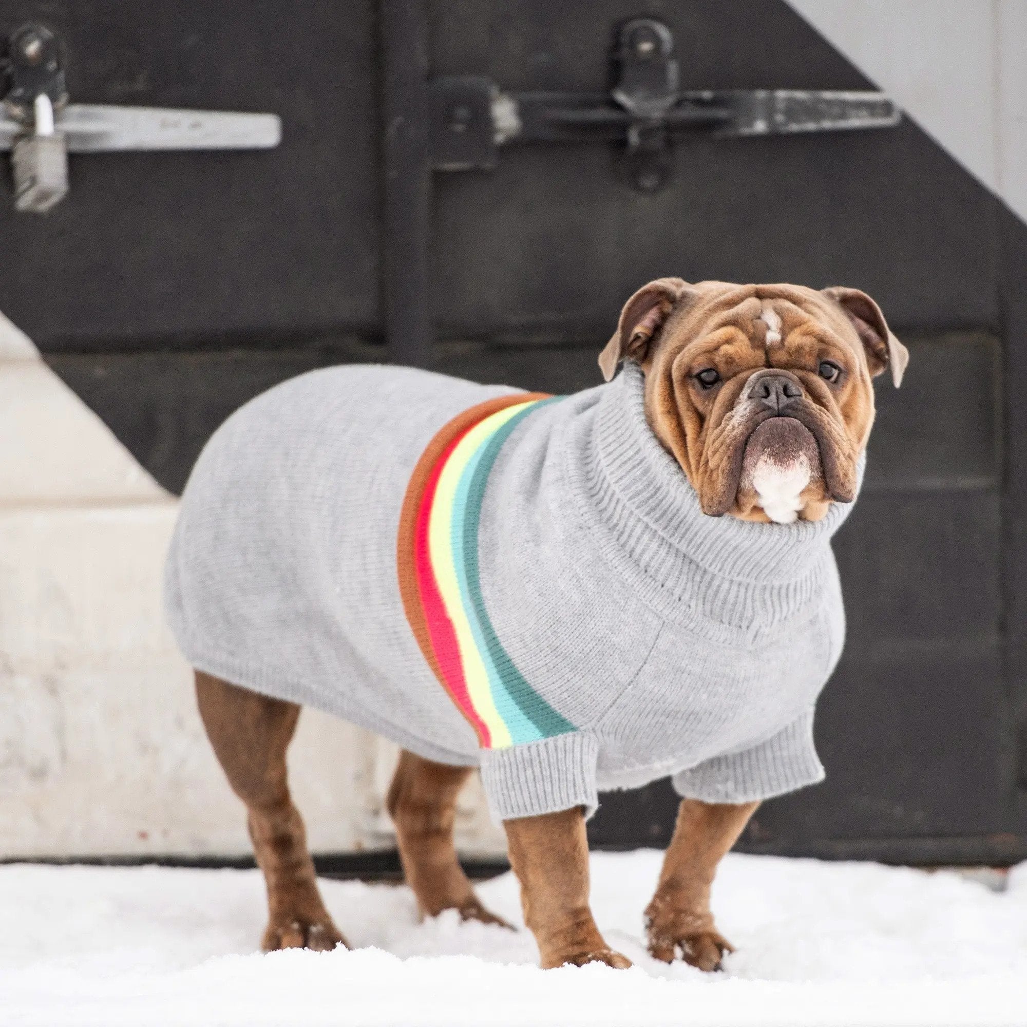 Retro Turtleneck Dog Sweater