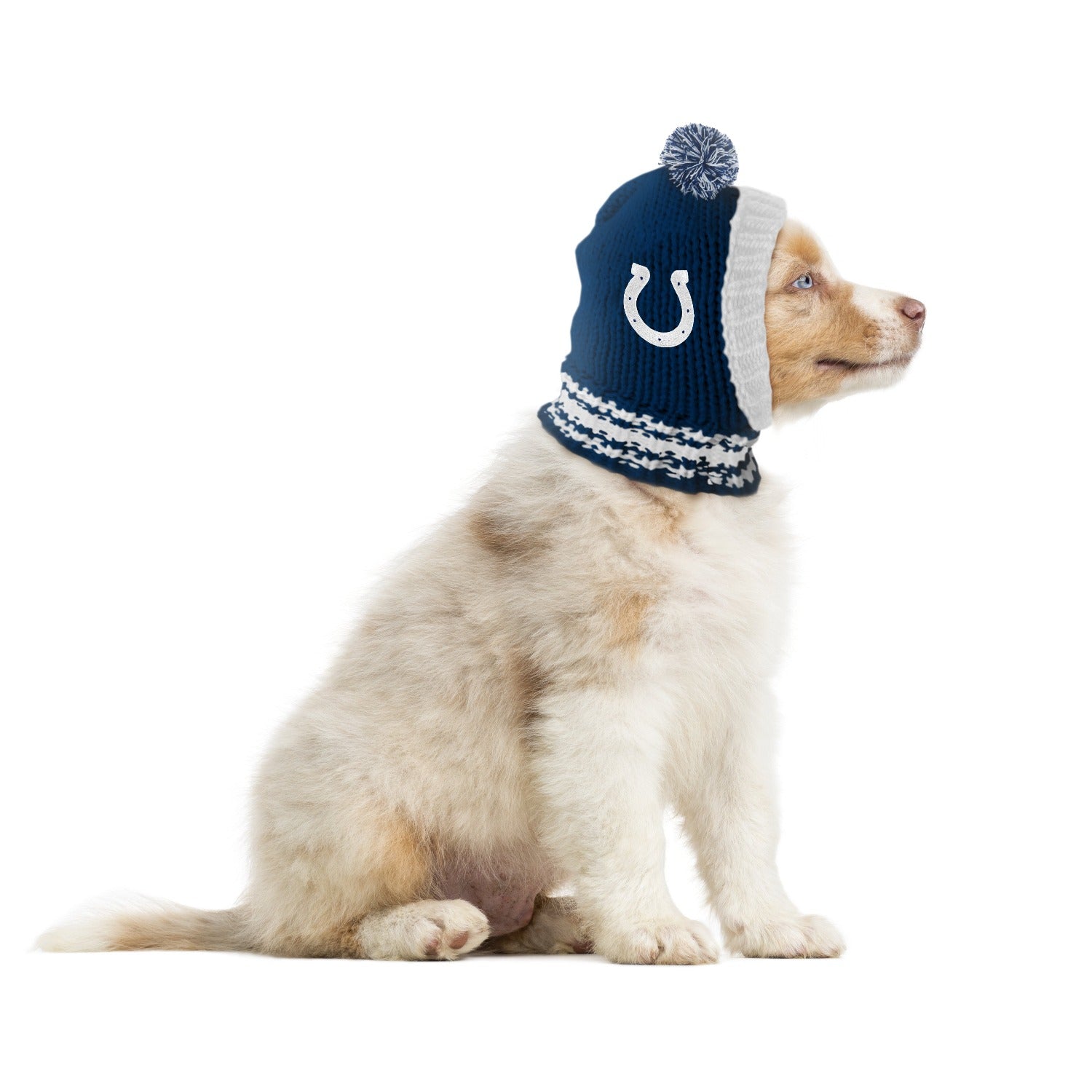 NFL Dog Hat Indianapolis Colts Pit Bull Outfitters