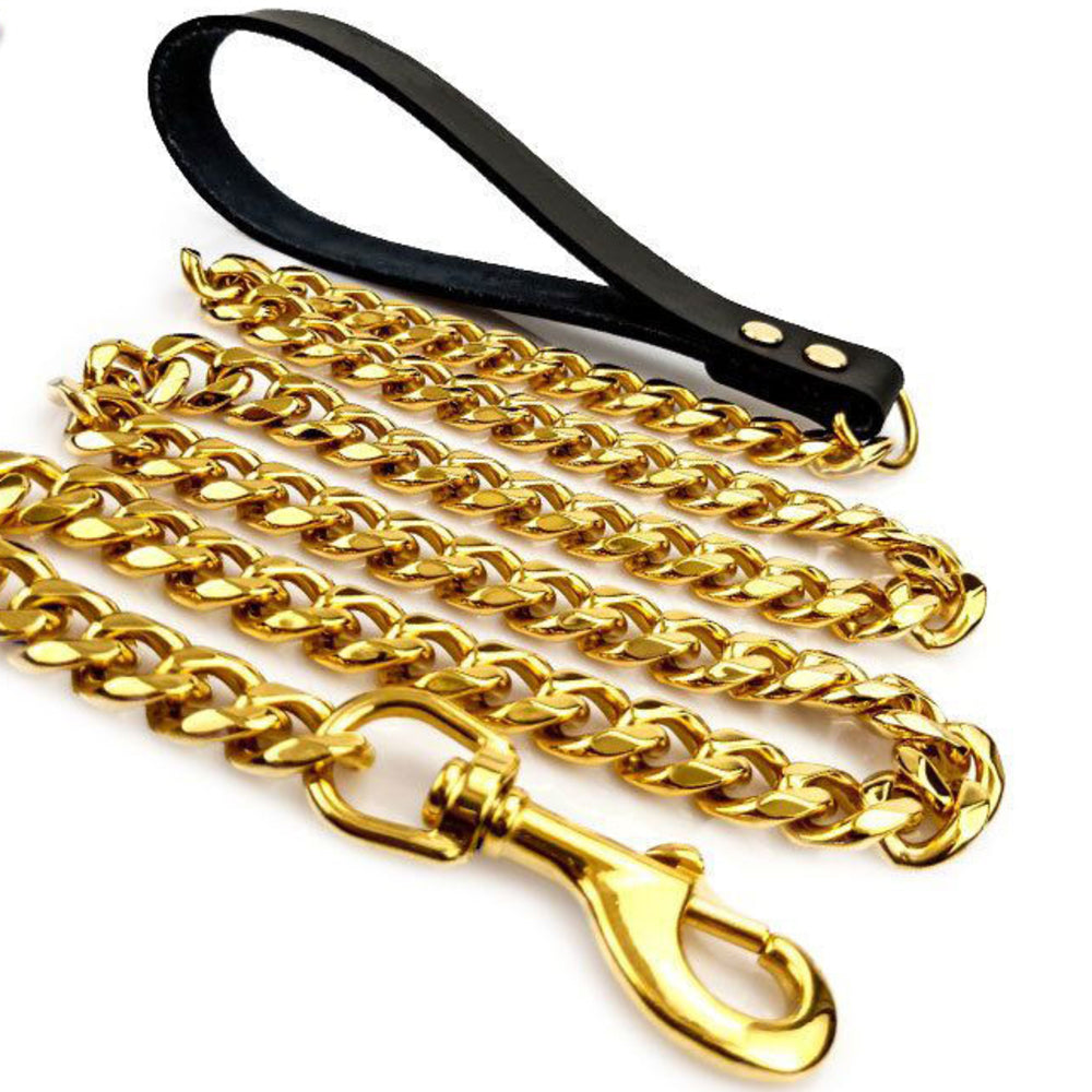 gold dog chain leash