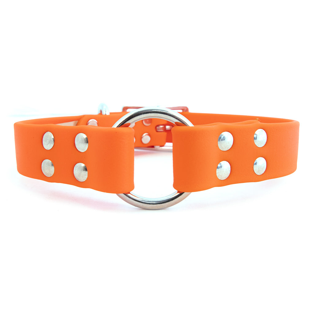 Hunter Orange Dog Collar