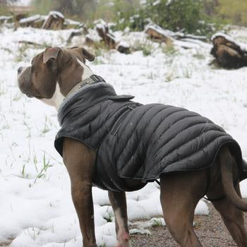 extra large dog winter coat