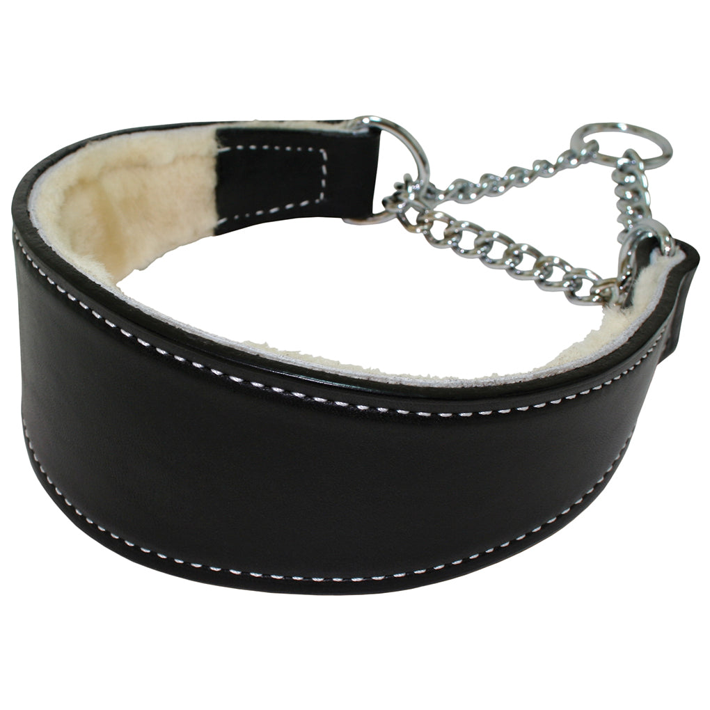 black leather martingale dog collar