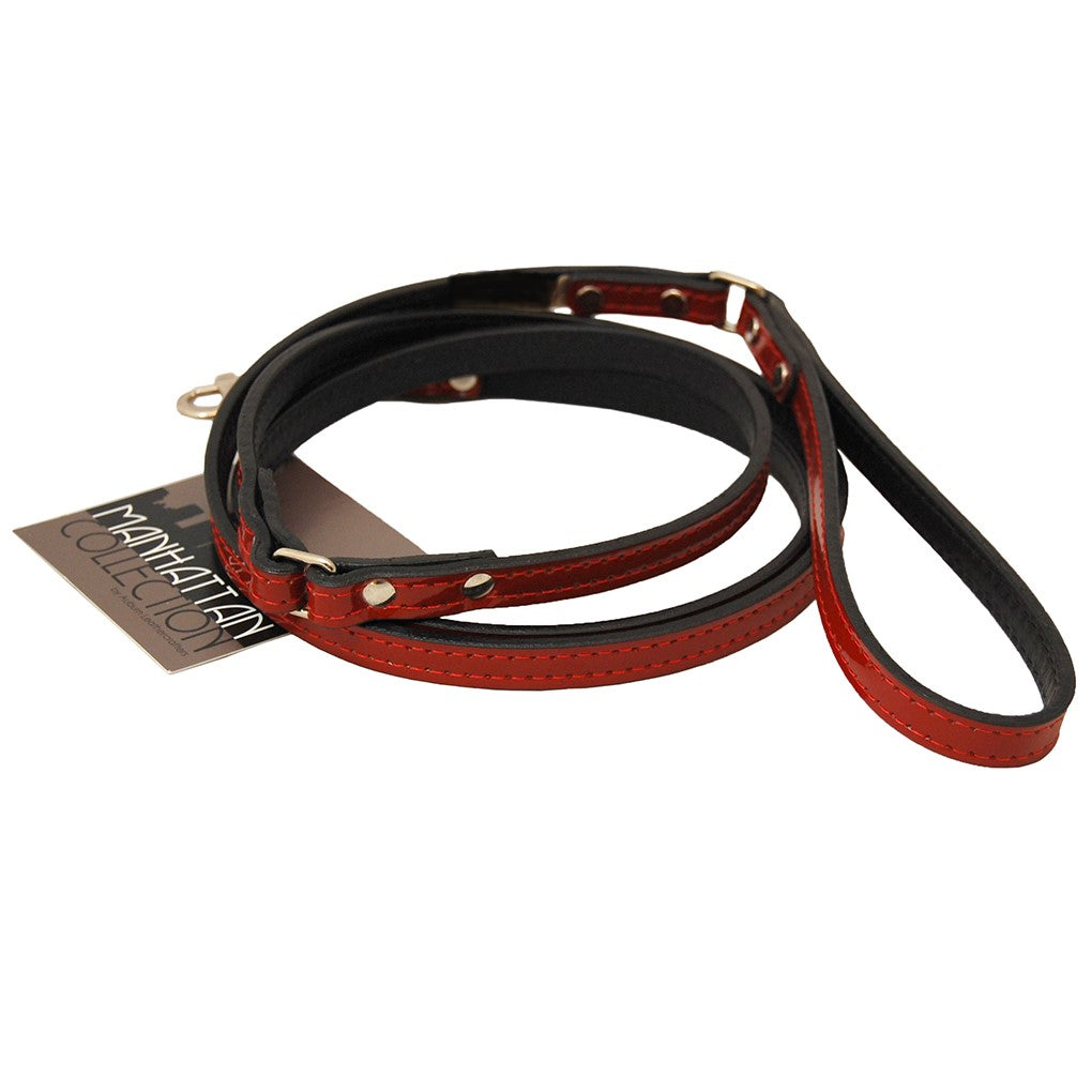 Red Leather Dog Leash