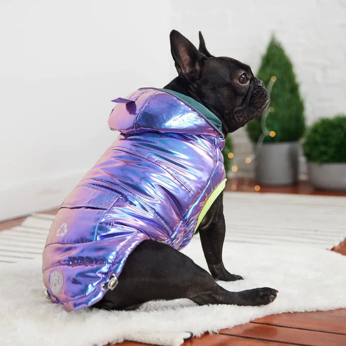 Parka Dog Coat-Iridescent