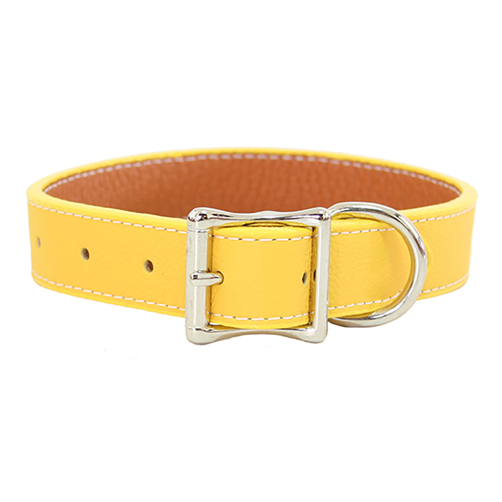 yellow large leather dog collar